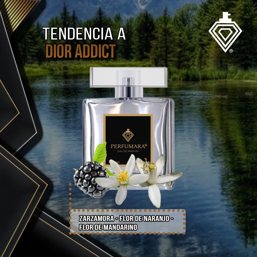 Tendencia a DDior Addict